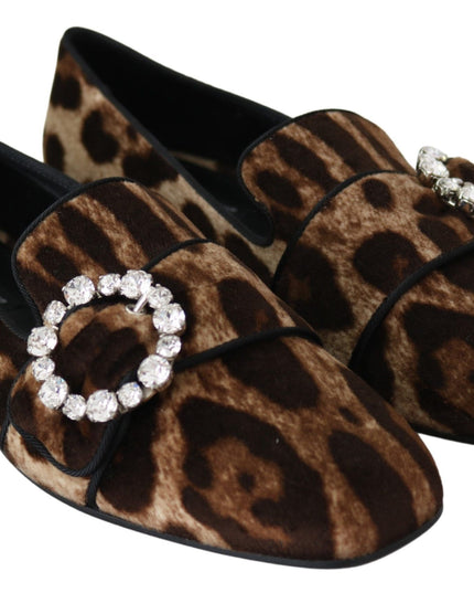 Dolce & Gabbana Brown Leopard Print Crystals Loafers Flats Shoes