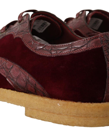 Dolce & Gabbana Bordeaux Velvet Exotic Leather Shoes