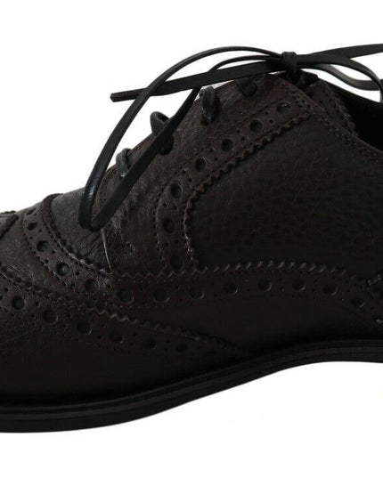 Dolce & Gabbana Brown Leather Wingtip Derby Formal Shoes