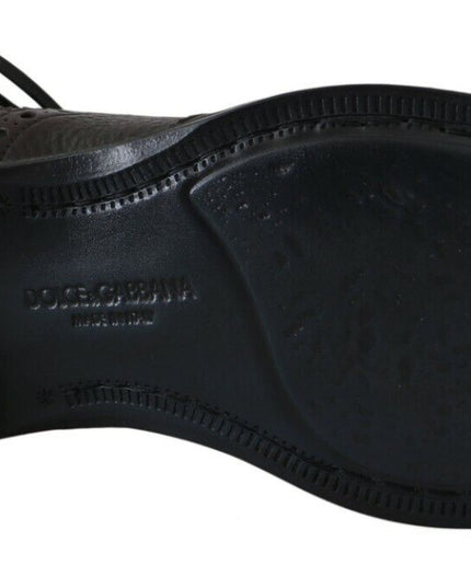 Dolce & Gabbana Brown Leather Wingtip Derby Formal Shoes