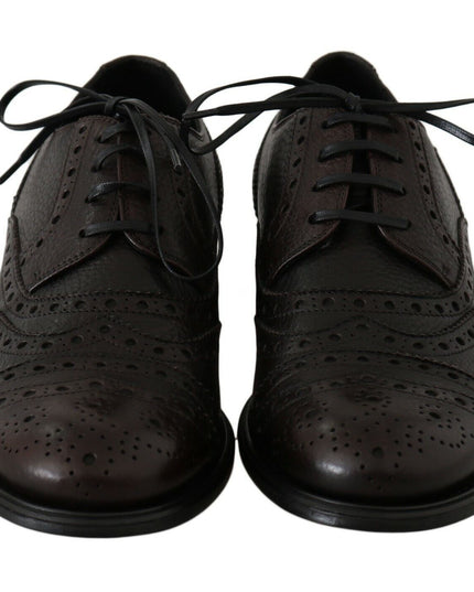 Dolce & Gabbana Brown Leather Wingtip Derby Formal Shoes