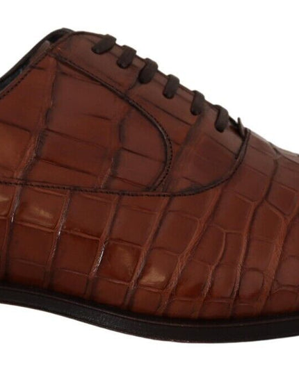 Dolce & Gabbana Brown Crocodile Leather Mens Formal Derby Shoes