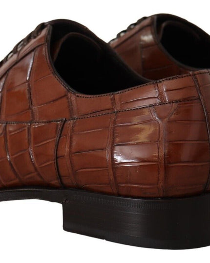 Dolce & Gabbana Brown Crocodile Leather Mens Formal Derby Shoes
