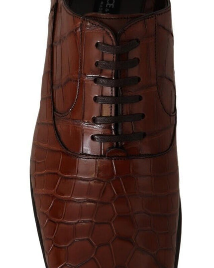 Dolce & Gabbana Brown Crocodile Leather Mens Formal Derby Shoes
