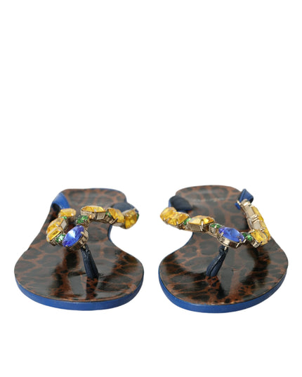 Dolce & Gabbana Blue Crystal Calf Leather Beachwear Shoes