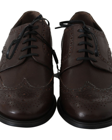 Dolce & Gabbana Brown Leather Brogue Derby Dress Shoes