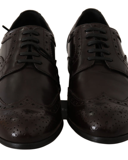 Dolce & Gabbana Brown Leather Broques Oxford Wingtip Shoes