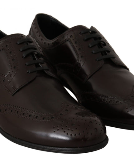 Dolce & Gabbana Brown Leather Broques Oxford Wingtip Shoes