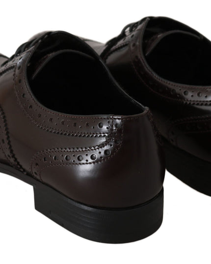 Dolce & Gabbana Brown Leather Broques Oxford Wingtip Shoes