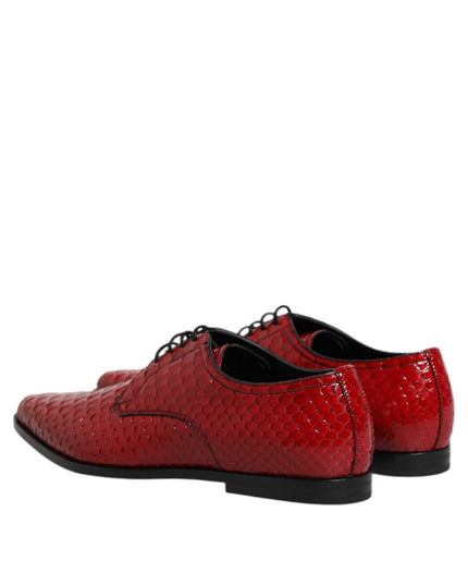 Dolce & Gabbana Red Exotic Leather Lace Up Dress Derby Shoes