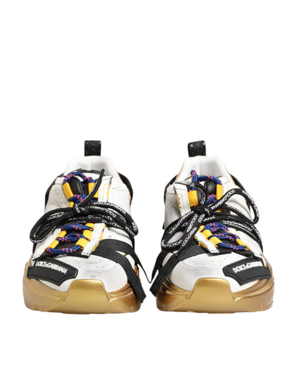 Dolce & Gabbana Multicolor Daymaster Low Top Sneakers Shoes
