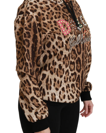 Dolce & Gabbana Brown Hooded Studded Ayers Leopard Sweater