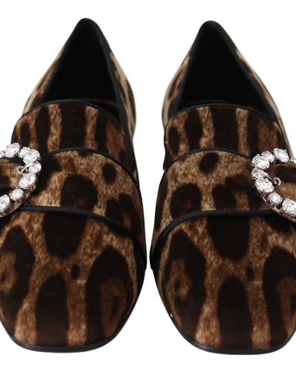 Dolce & Gabbana Brown Leopard Print Crystals Loafers Flats Shoes