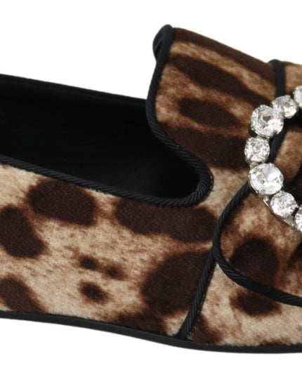 Dolce & Gabbana Brown Leopard Print Crystals Loafers Flats Shoes