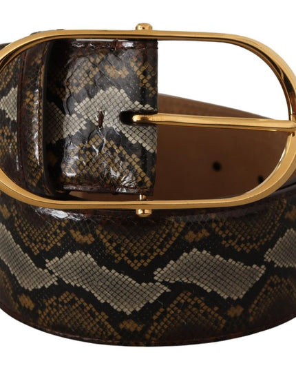Dolce & Gabbana Brown Python Leather Gold Oval Buckle Belt