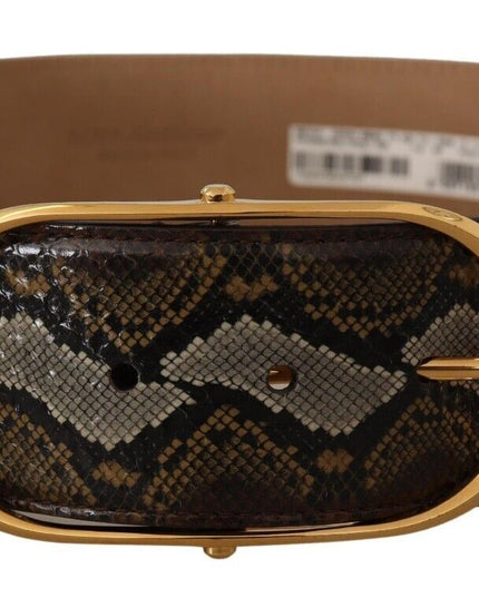 Dolce & Gabbana Brown Python Leather Gold Oval Buckle Belt