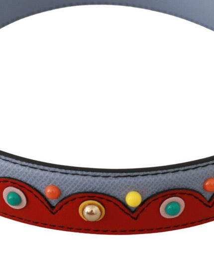 Dolce & Gabbana Blue and red Shoulder Strap Leather Blue Handbag Accessory