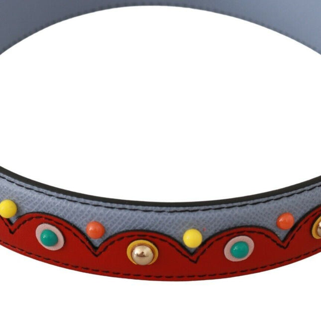Dolce & Gabbana Blue and red Shoulder Strap Leather Blue Handbag Accessory