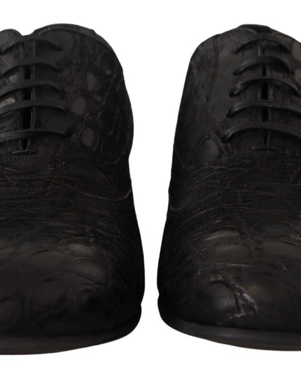 Dolce & Gabbana Black Caiman Leather Mens Oxford Shoes