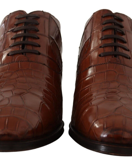 Dolce & Gabbana Brown Crocodile Leather Mens Formal Derby Shoes