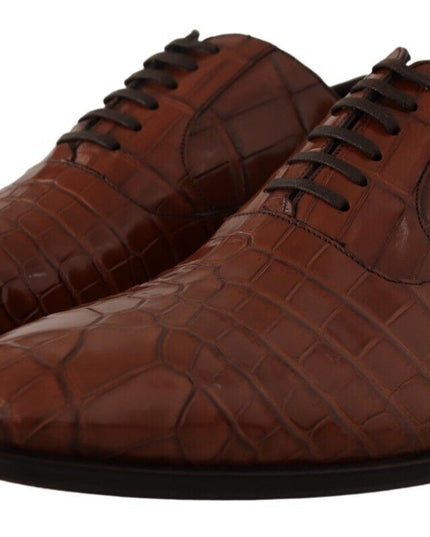 Dolce & Gabbana Brown Crocodile Leather Mens Formal Derby Shoes