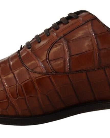 Dolce & Gabbana Brown Crocodile Leather Mens Formal Derby Shoes