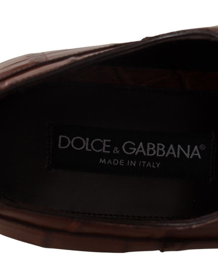 Dolce & Gabbana Brown Crocodile Leather Mens Formal Derby Shoes