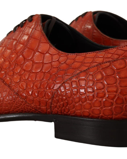 Dolce & Gabbana Orange Exotic Leather Dress Derby Shoes
