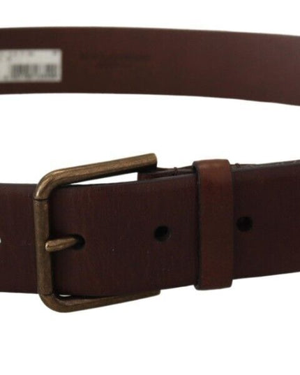 Dolce & Gabbana Brown Leather Gold Metal Buckle Carabiner Belt