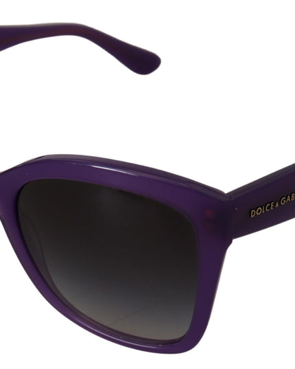 Dolce & Gabbana Purple Acetate Square Full Rim DG4240 Sunglasses