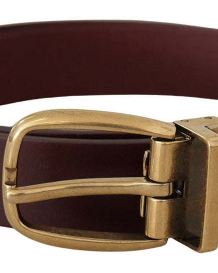 Dolce & Gabbana Brown Leather Classic Gold Metal Buckle Belt