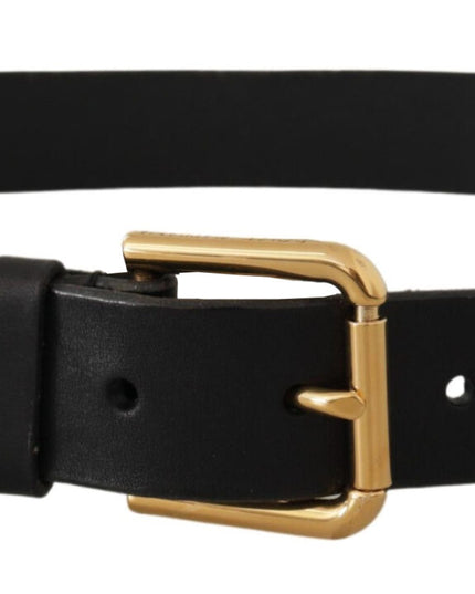 Dolce & Gabbana Brown Classic Leather Gold Metal Buckle Belt
