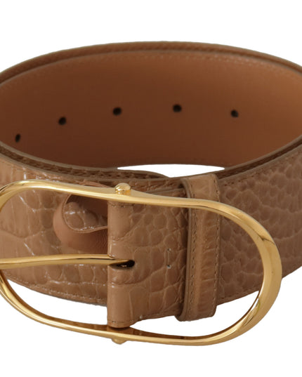 Dolce & Gabbana Brown Beige Leather Gold Metal Oval Buckle Belt