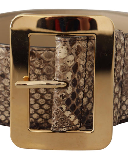 Dolce & Gabbana Brown Exotic Wide Waist Leather Gold Metal Buckle Belt