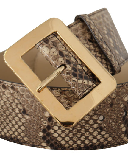 Dolce & Gabbana Brown Exotic Wide Waist Leather Gold Metal Buckle Belt
