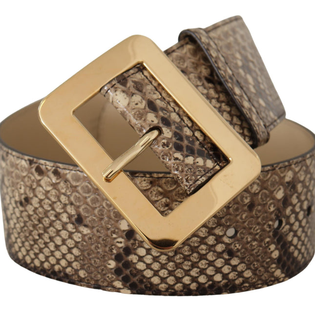 Dolce & Gabbana Brown Exotic Wide Waist Leather Gold Metal Buckle Belt