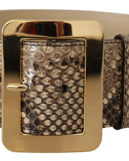 Dolce & Gabbana Brown Exotic Wide Waist Leather Gold Metal Buckle Belt