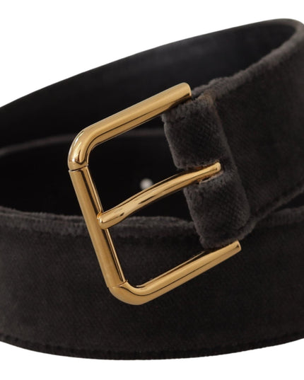 Dolce & Gabbana Brown Velvet Gold Tone Logo Metal Waist Buckle Belt