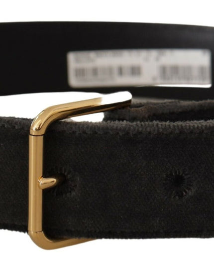 Dolce & Gabbana Brown Velvet Gold Tone Logo Metal Waist Buckle Belt