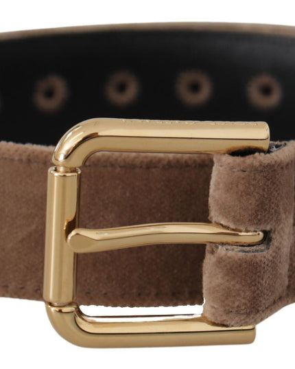 Dolce & Gabbana Light Brown Velvet Gold Tone Logo Metal Buckle Belt