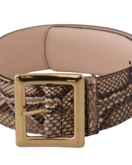 Dolce & Gabbana Beige Exotic Leather Wide Gold Metal Buckle Belt