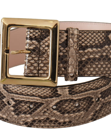 Dolce & Gabbana Beige Exotic Leather Wide Gold Metal Buckle Belt