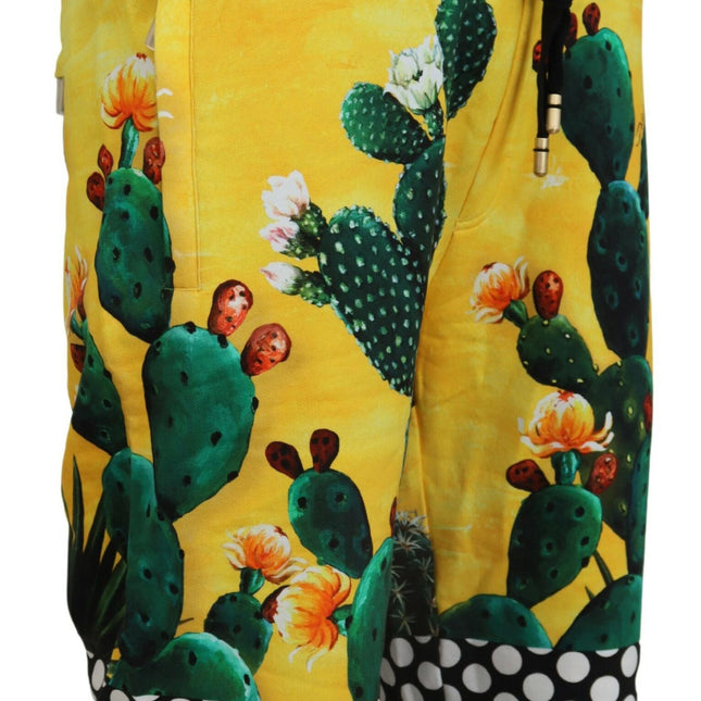 Dolce & Gabbana Multicolor Cactus Print Cotton Sweat Shorts