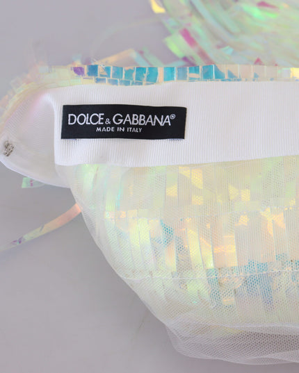 Dolce & Gabbana Multicolor Iridescent Fringed Tulle Skirt