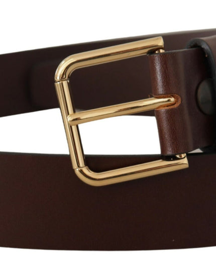 Dolce & Gabbana Brown Plain Calf Leather Gold Tone Buckle Belt