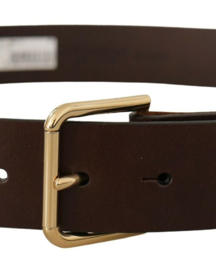 Dolce & Gabbana Brown Plain Calf Leather Gold Tone Buckle Belt