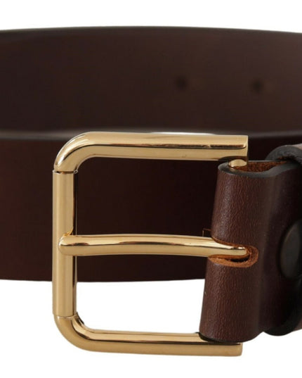 Dolce & Gabbana Brown Plain Calf Leather Gold Tone Buckle Belt