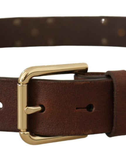 Dolce & Gabbana Brown Leather Studded Gold Tone Metal Buckle Belt