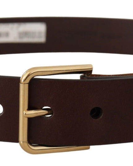 Dolce & Gabbana Brown Polished Leather Gold Tone Metal Buckle Belt