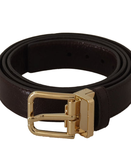 Dolce & Gabbana Brown Leather Gold Metal Buckle Belt